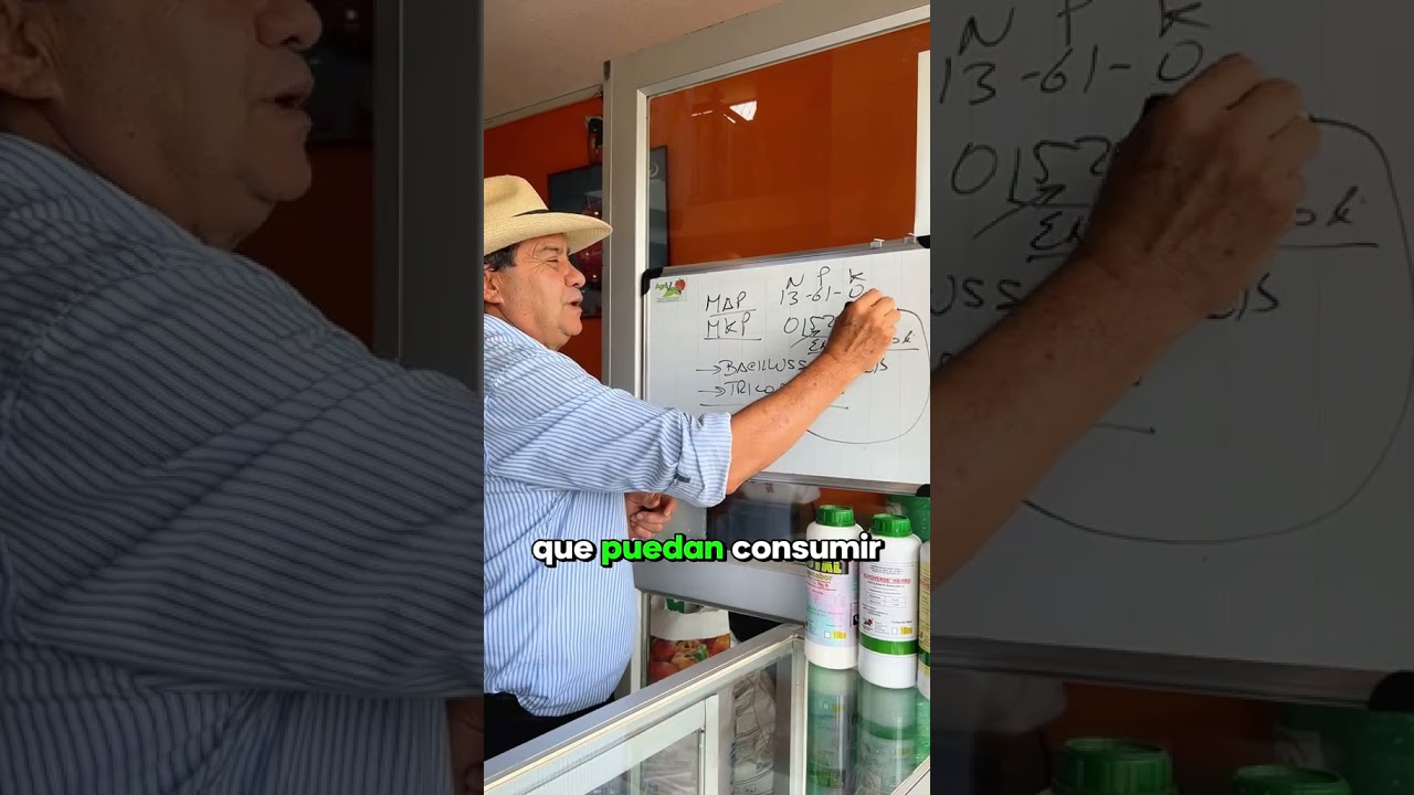 MAP y MKP: C&oacute;mo usarlos en la nutrici&oacute;n de tus plantas | Consejos del Inge Nan