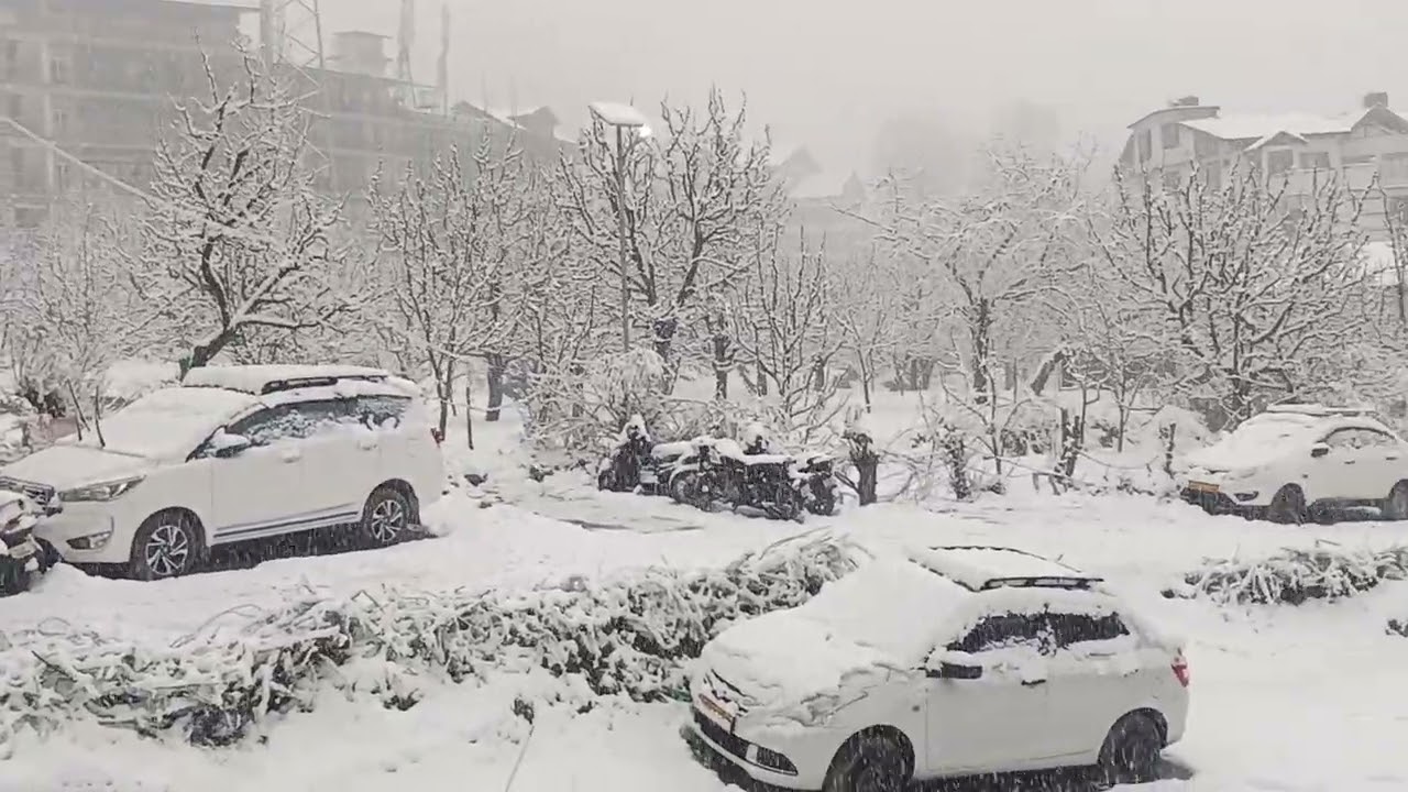 First snowfall of the session on 23 /1/26 at seraj international hotel manali kullu Himachal Pradesh