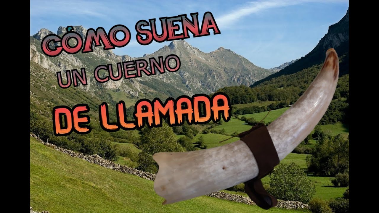 ESCUCHA CÓMO SUENA un CUERNO! Sonido REAL, sin adornos.