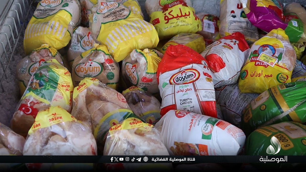أصحاب المحال والتجار في الموصل: قرار منع استيراد الدجاج غير صائب.. والمنتج المحلي لا يسد حاجة السوق