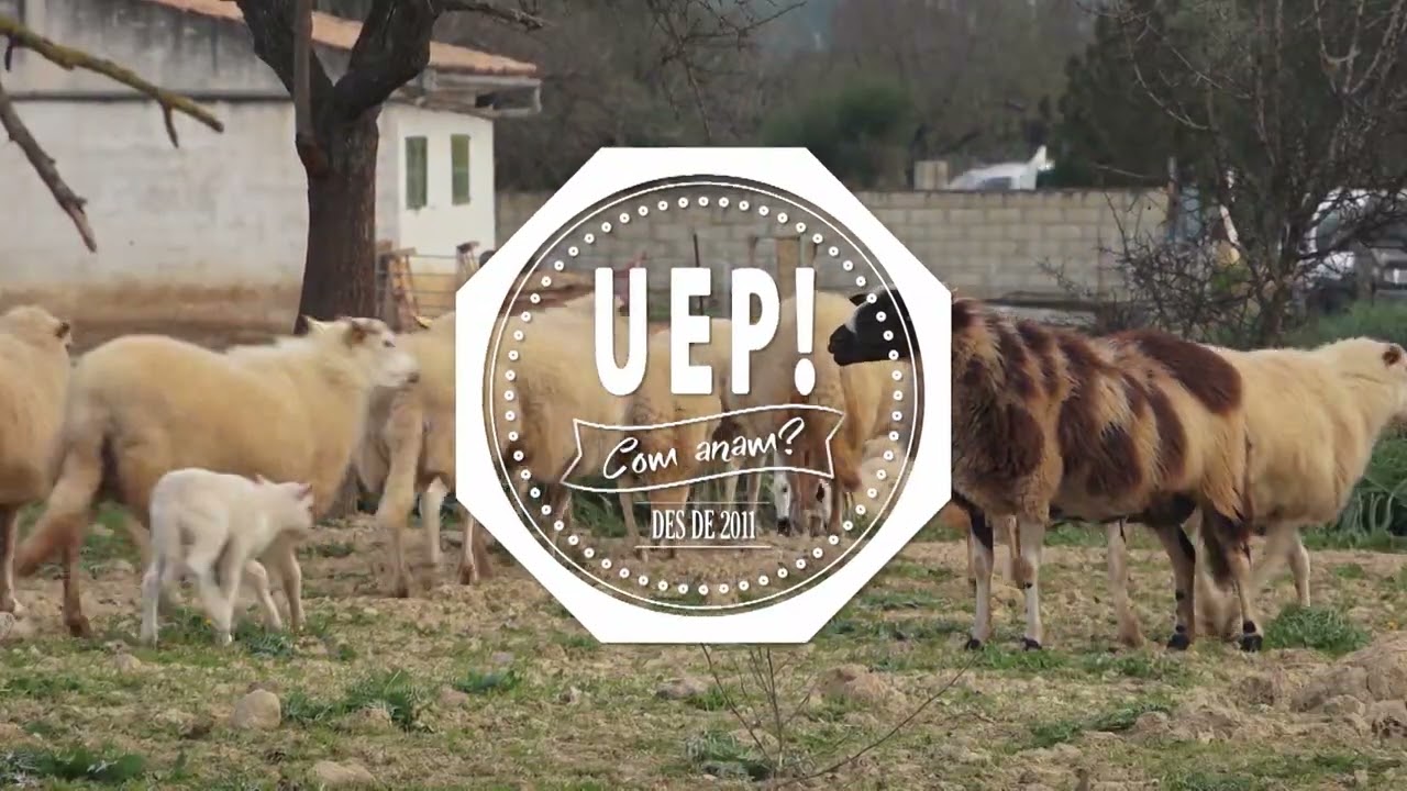 UEP! COM ANAM? [CAP. 536] - Patates de Sa Pobla i un fong que amenaça el lledoner