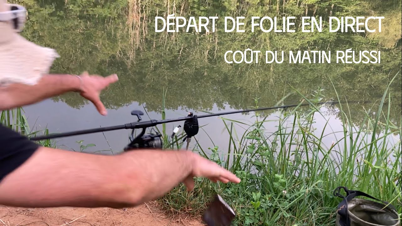 Coup du matin en stalking / pêche à la carpe