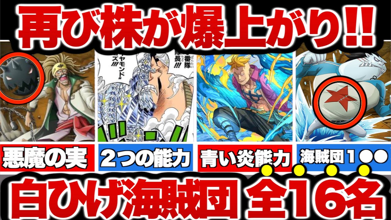 【ワンピース】実は強い白ひげ海賊団の真の能力！16名の隊長を徹底解説！【ゆっくり解説】