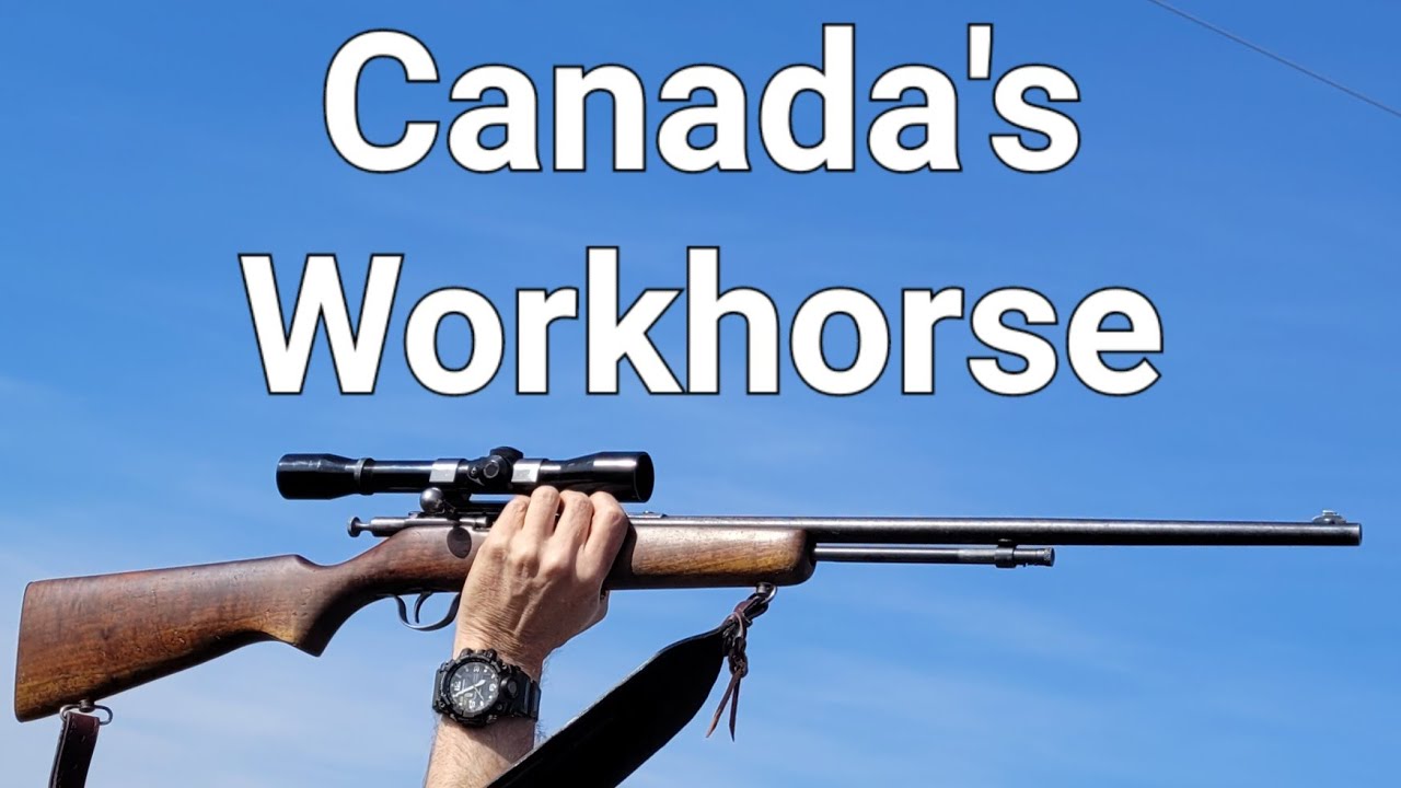 Винтовка Cooey .22 Caliber Rifle — «рабочая лошадка» Канады. Модель 60 / 600 / Cooey Canuck