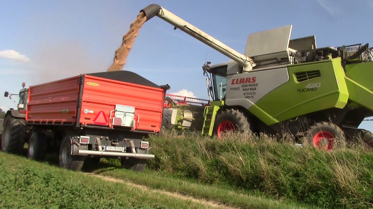 Podsumowanie Sezonu 2021 Mafia Strożyska