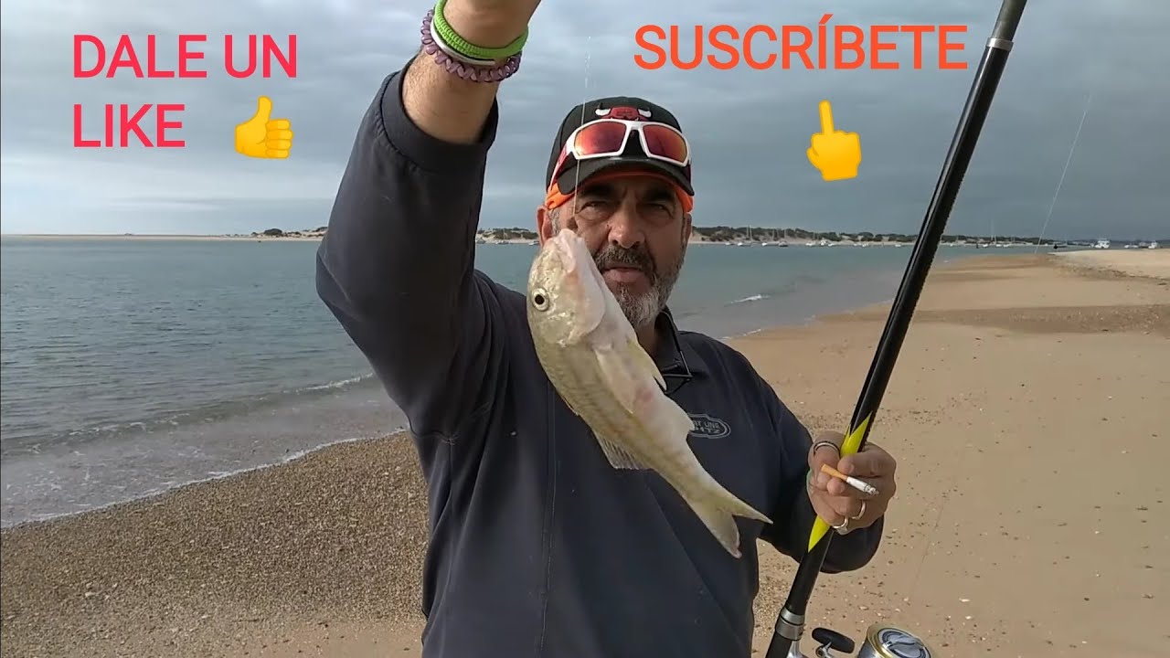 SURFCASTING EN LA PLAYA DE SANCTI PETRI 2 JORNADA CON TANO CANAL DE PESCA