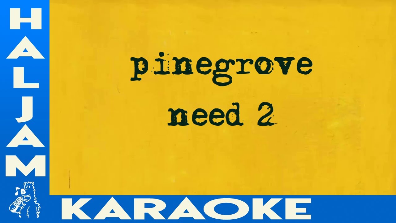 Pinegrove - Need 2 (karaoke)