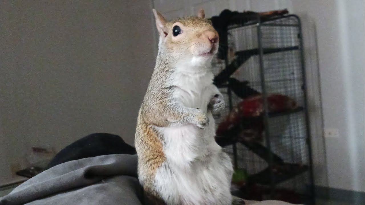 Lady being cute