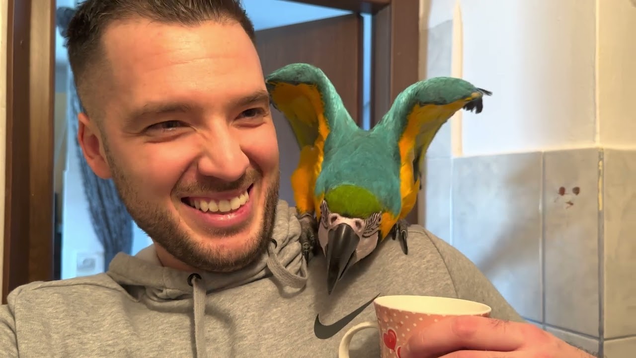 Simon nervos pe Liana/Tokyo fericit