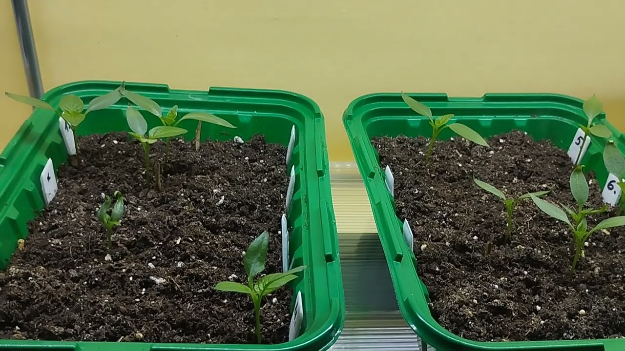 Ух, работы не початый край.