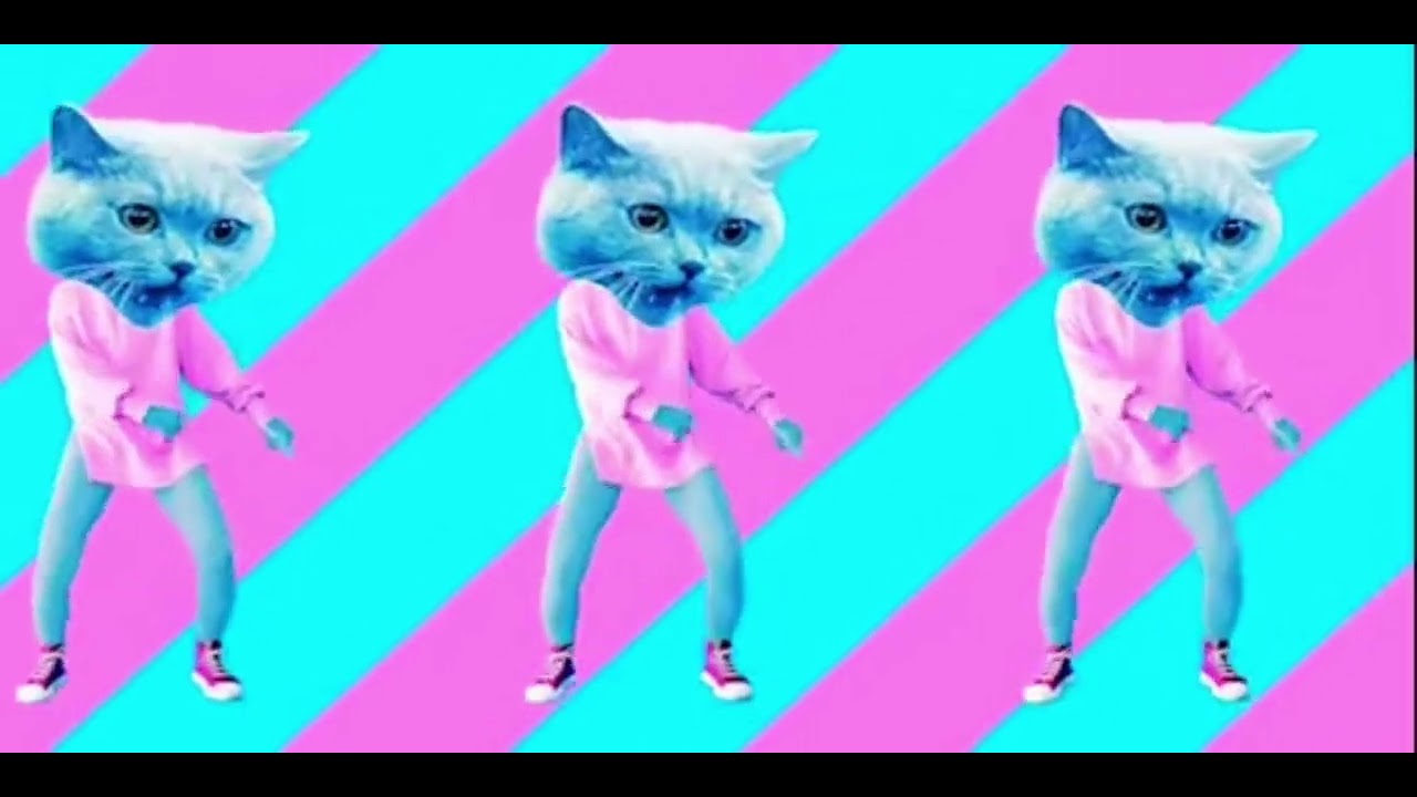 i am cat dance channel
