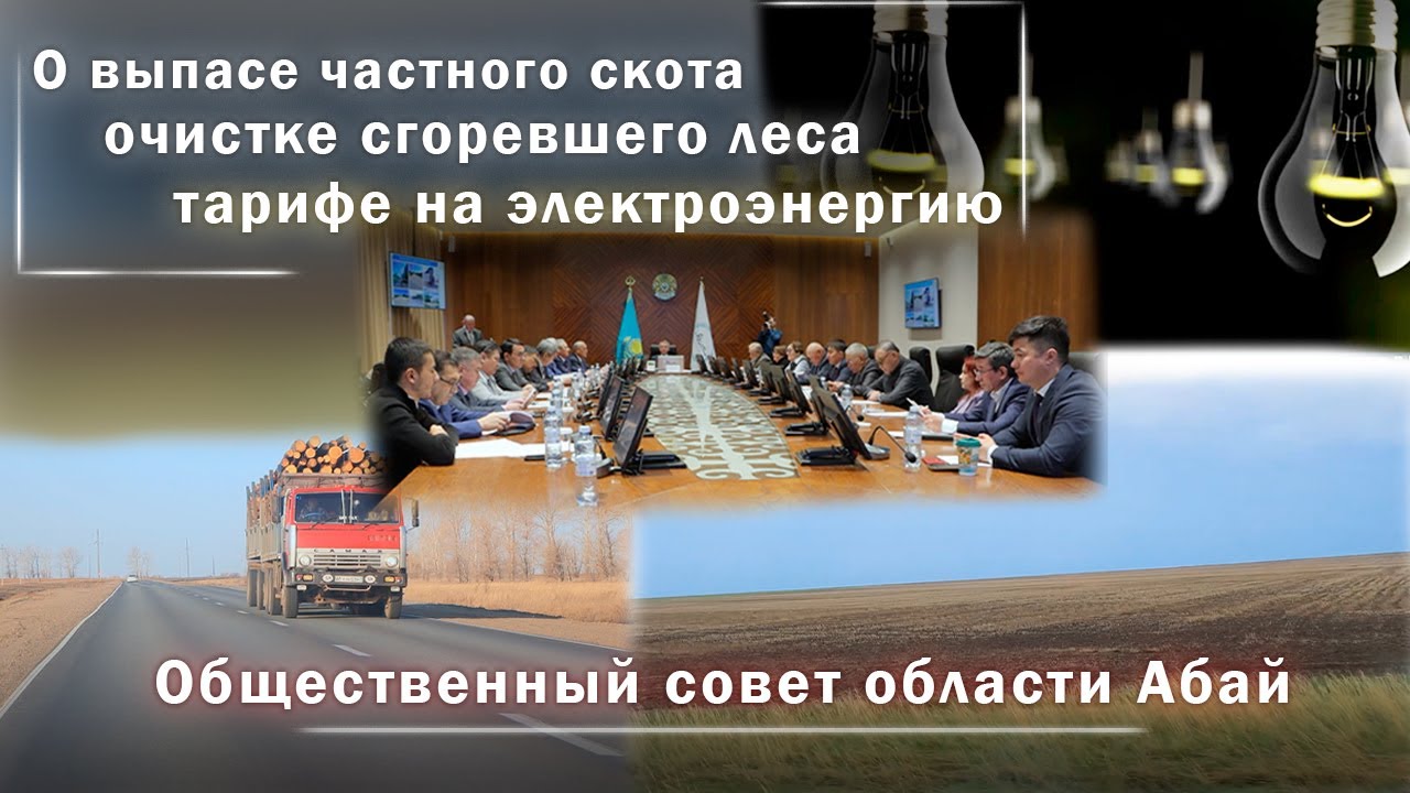 О выпасе скота, очистке сгоревшего леса, тарифе на электроэнергию. Общественный совет области Абай.