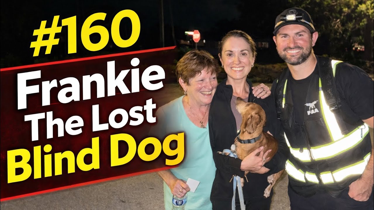 #160 Frankie The Lost Blind Dog - Florida Pet Recovery