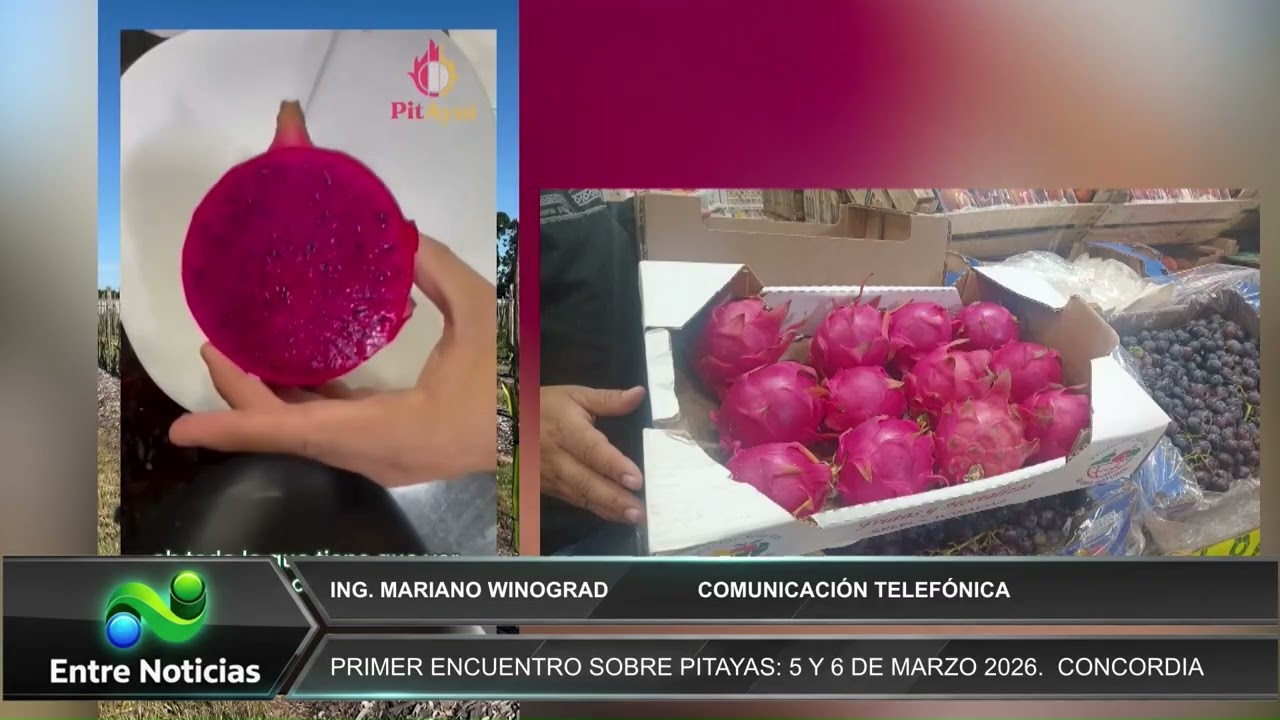 Encuentro sobre pitahayas 5 y 6 de marzo en Concordia, Entre Ríos - Entre Noticias