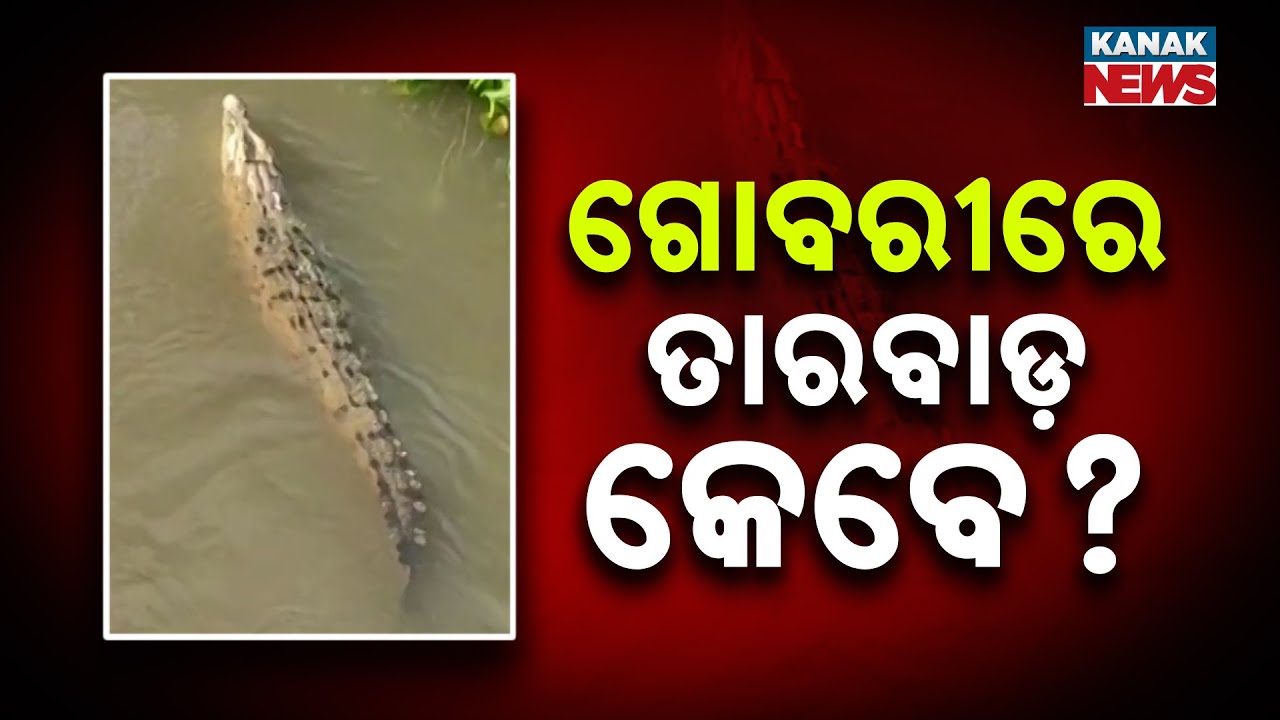 Crocodile Terror In Kendrapara&rsquo;s Mahakalpara | Villagers Risk Lives for Daily Water Needs