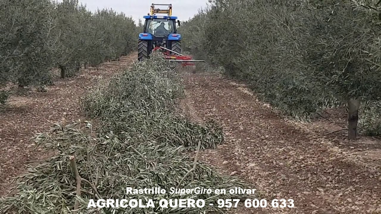 Acordonador SuperGiro-8250 en olivar a 6,5 m.