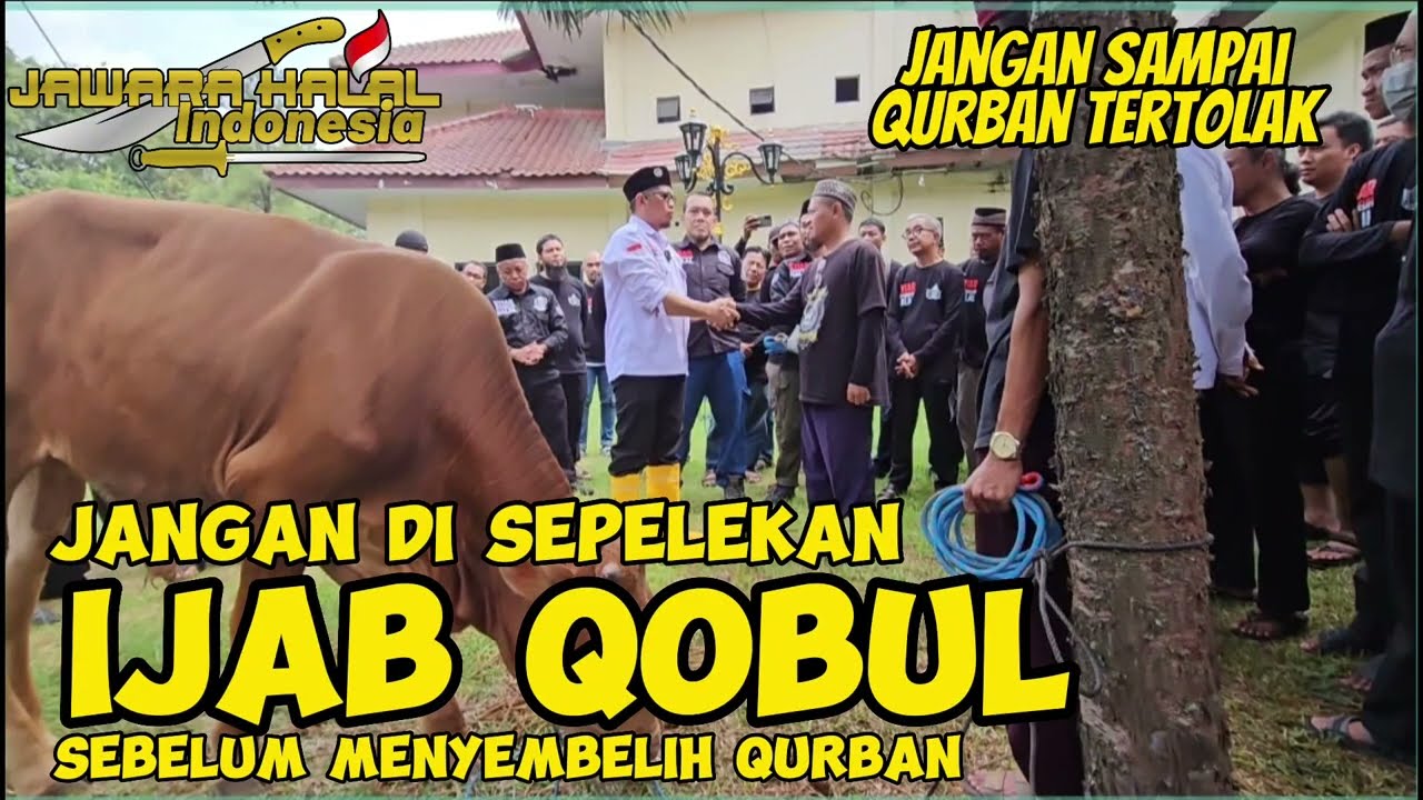 IJAB QOBUL SEBELUM MENYEMBELIH | JANGAN SI SEPELEKAN | BISA TIDAK DITERIMA QURBAN NYA
