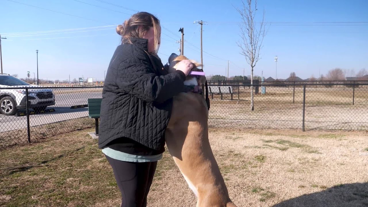 Pet of the Week Success Story: Andarna