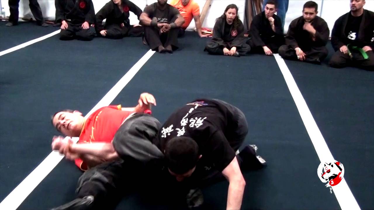 Taikai Gekiryu 2016 Día 1 Bujinkan Dai Shihan Juan Manuel Serrano