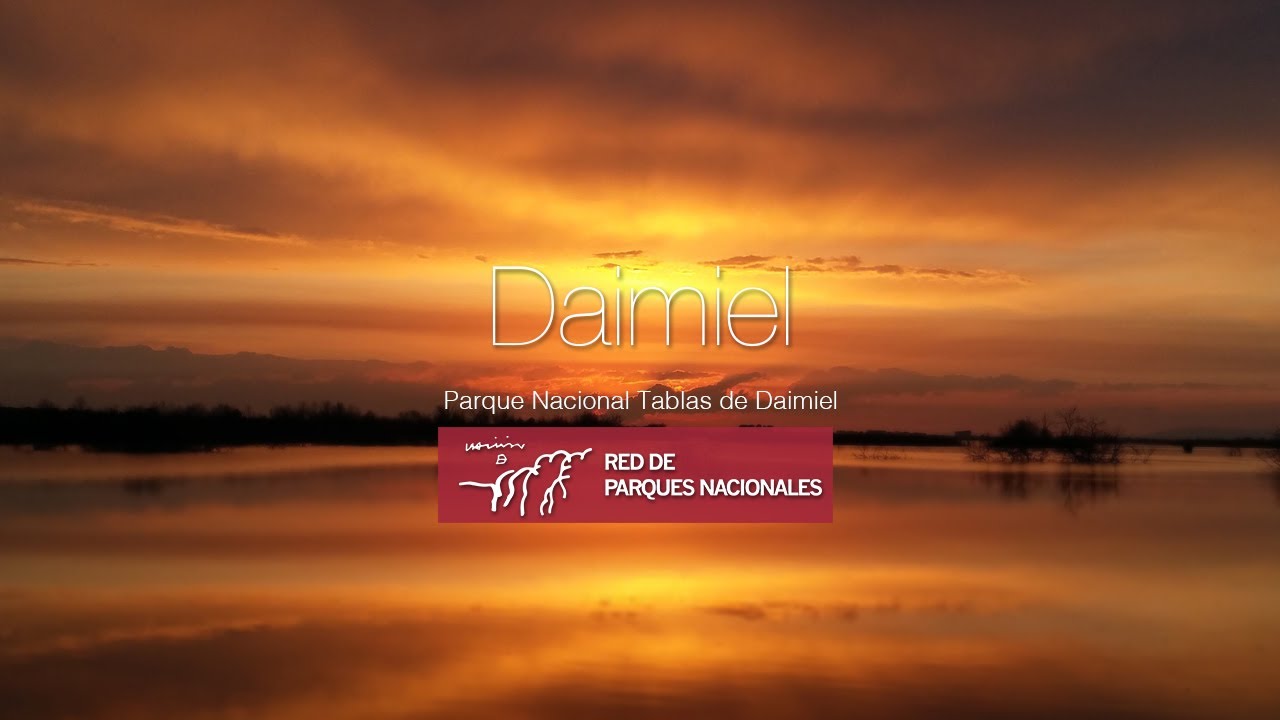 El Parque Nacional 🦆Tablas de Daimiel
