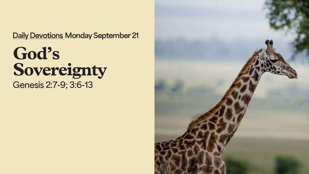 God&rsquo;s Sovereignty - Daily Devotions