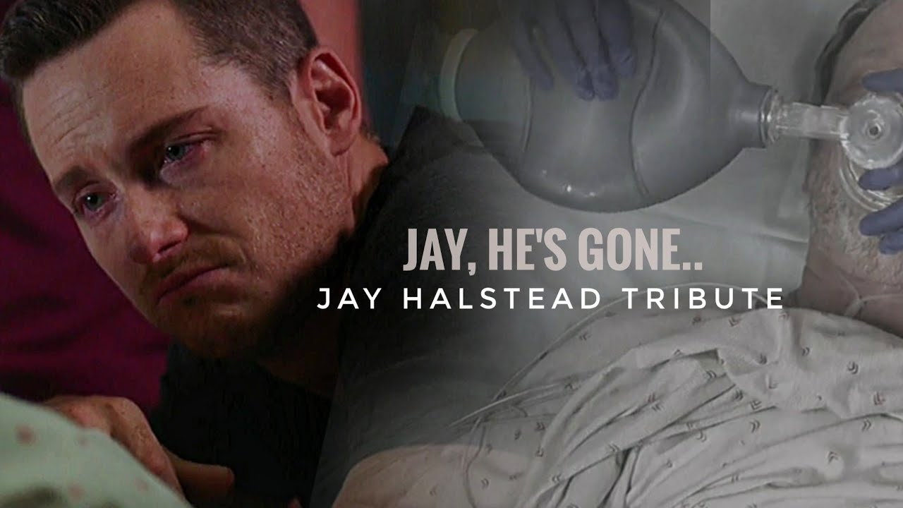 Jay Halstead Tribute 2 | 