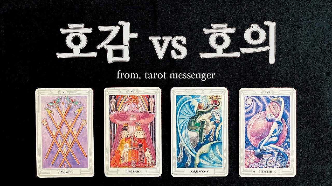 [타로|연애] 호감일까요, 호의일까요? +관계흐름