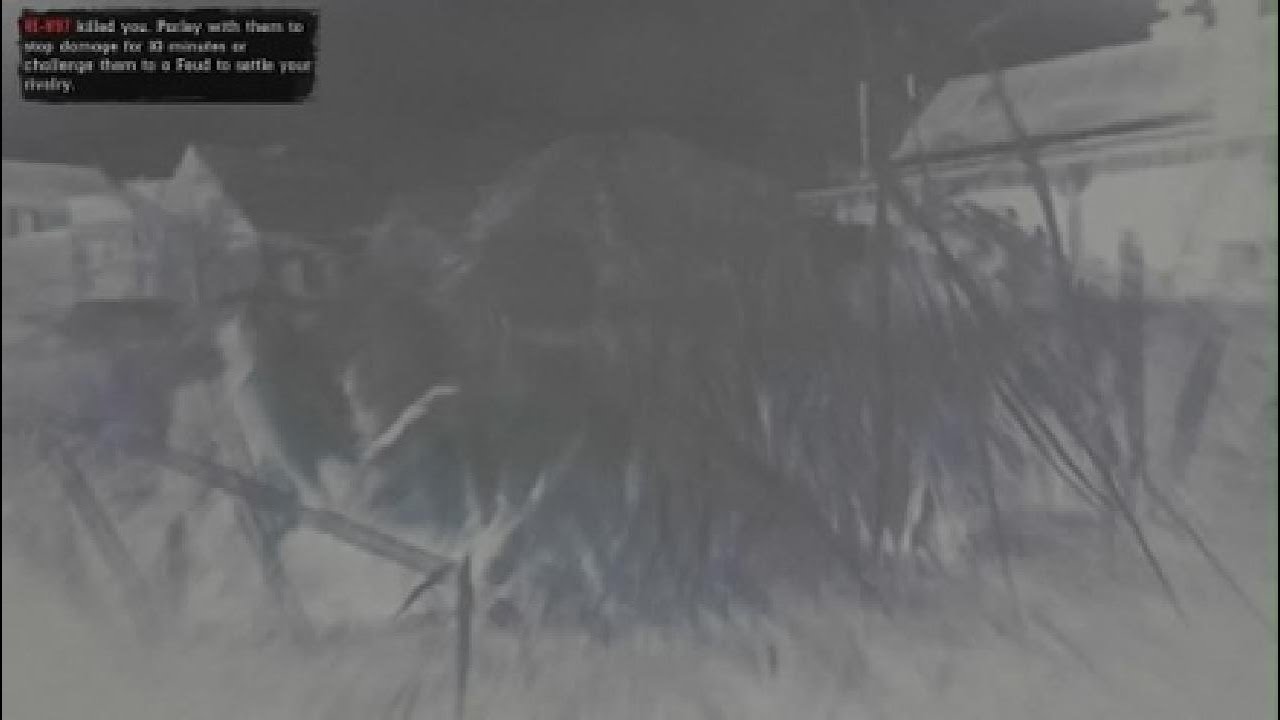 Red Dead Redemption 2_20251001000049