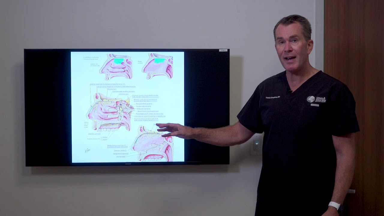 Non-Allergic Rhinitis & Vasomotor Rhinitis
