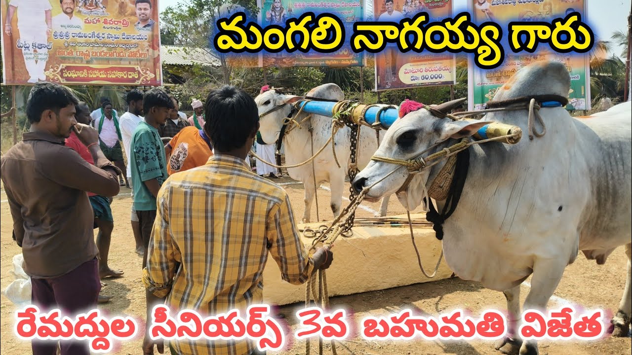 రేమద్దుల సీనియర్స్ విభాగం మొదటి జత. మంగలి నాగయ్య గారు.