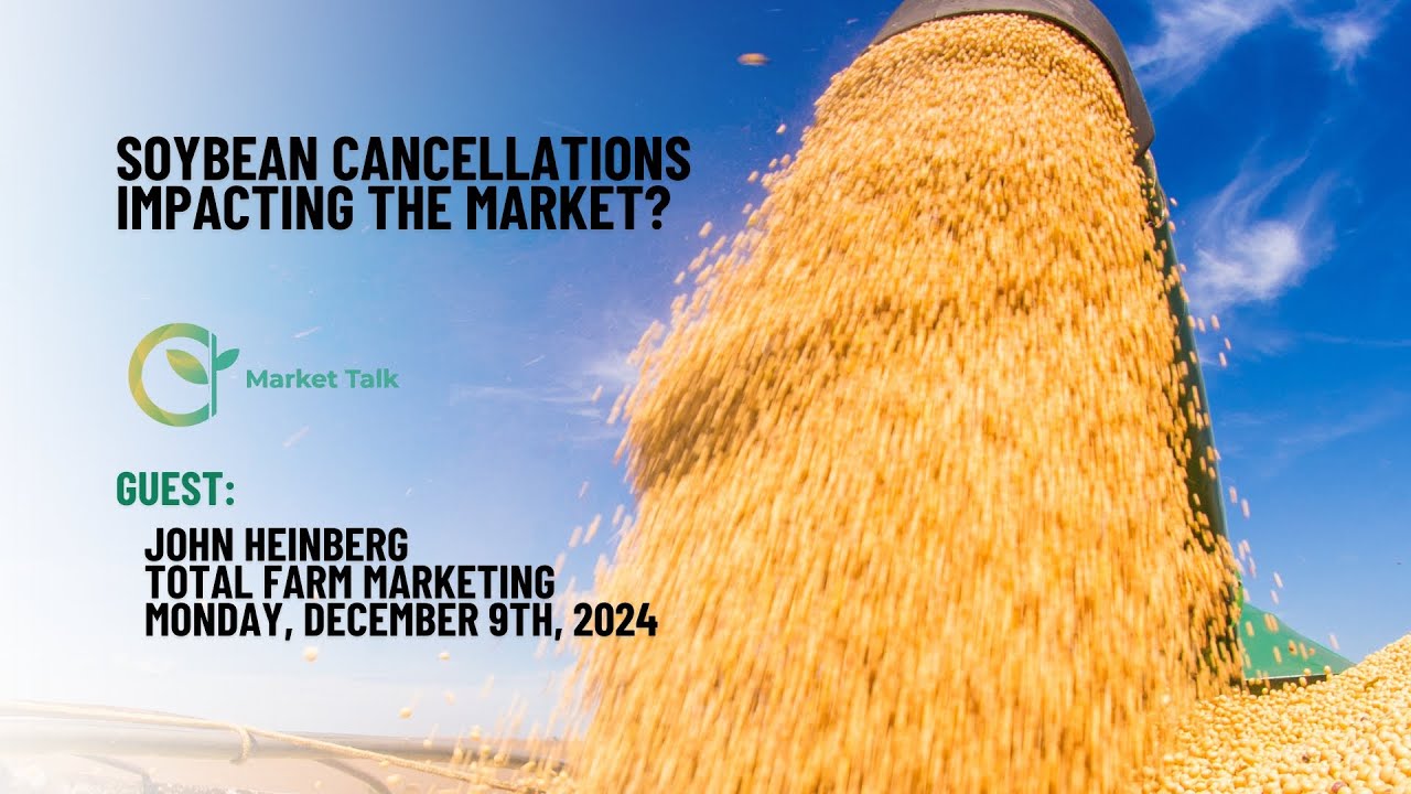 Soybean Cancellations Impacting the Market?