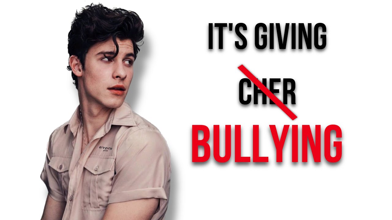 Shawn Mendes: Gaydar gone wrong?