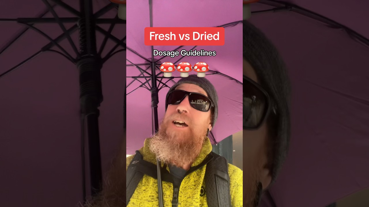 Shrooms: FRESH vs DRIED