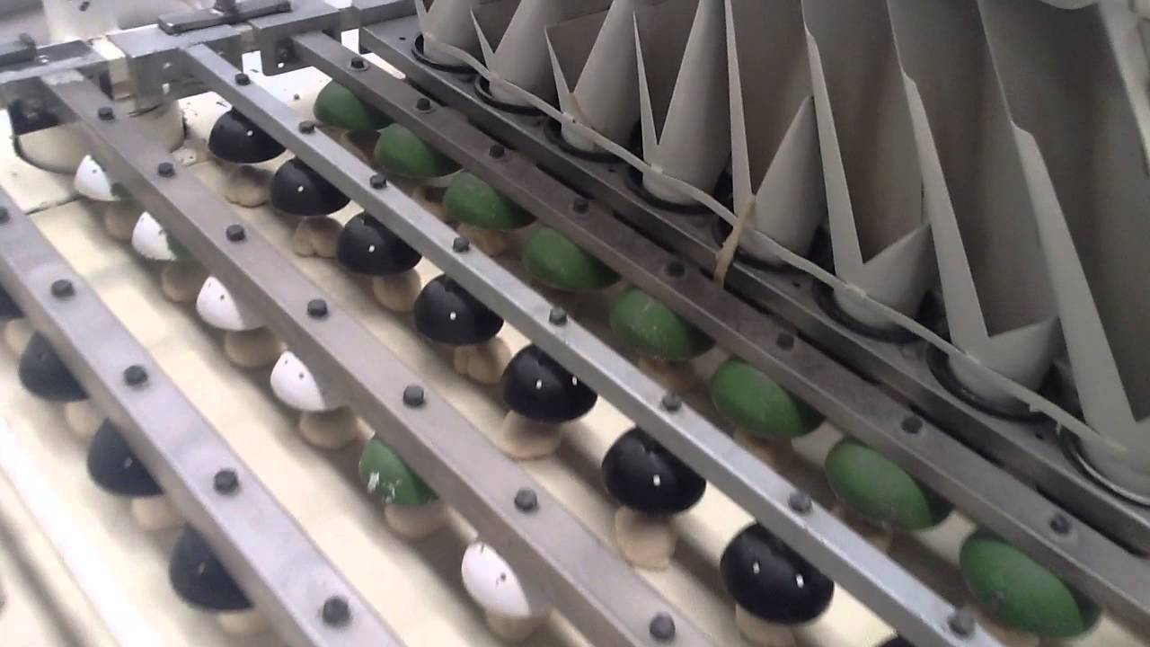 winkler 8 pockets Divisora Boleadora a la Venta. VENDIDO !!!!