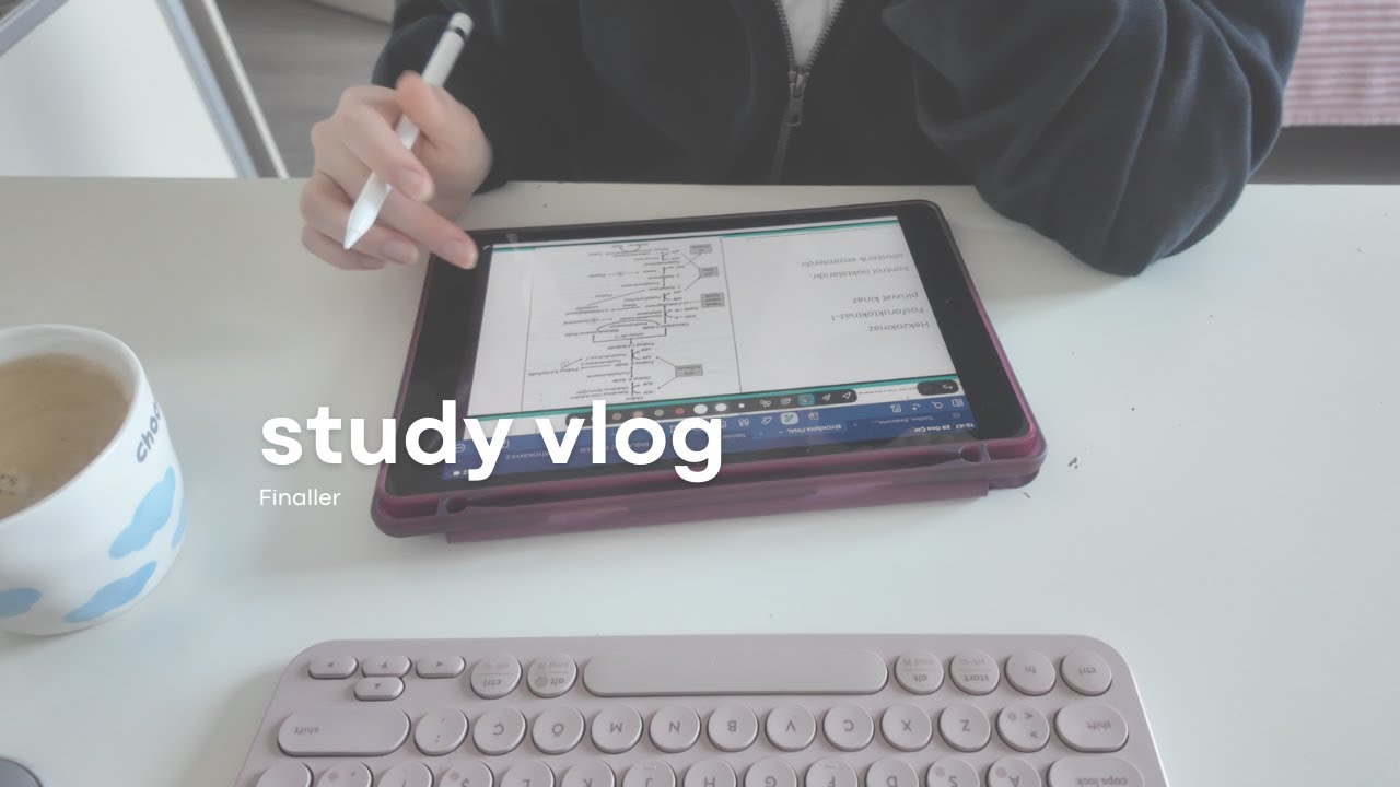 final haftası ile yüksek lisansın ilk yılı bitti