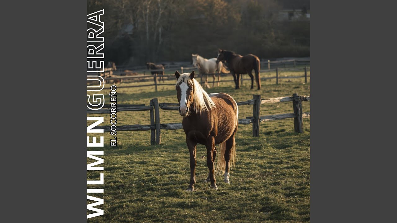 Un Regalo para Elisa