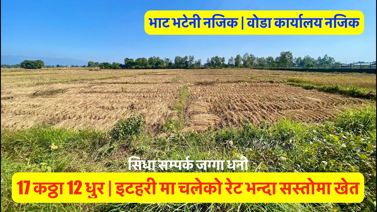 17 Katha 15 Dhur| Sasto Jagga | Cheap Land for sale in itahari | Near Bhat Bhateni #sastojagga