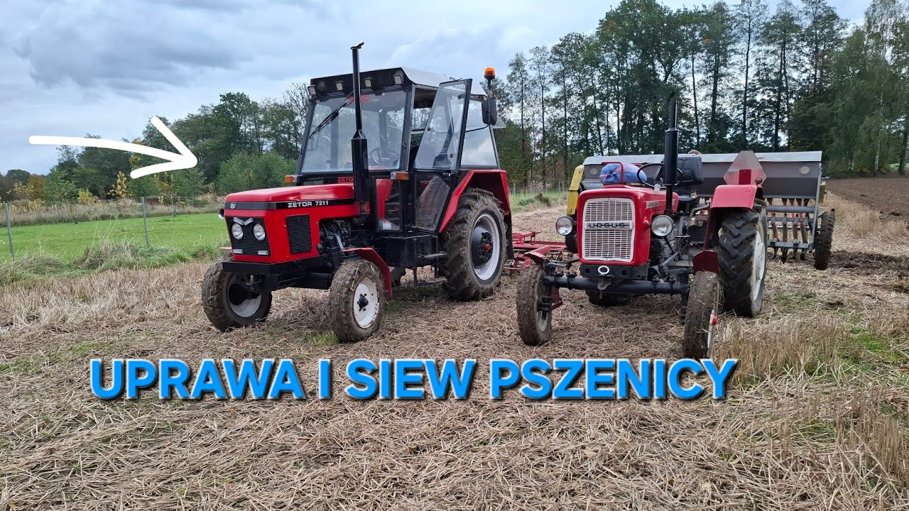 🔥Uprawa i siew pszenicy 2025🔥                        🇵🇱♥️Czerwoni na robocie♥️🇵🇱