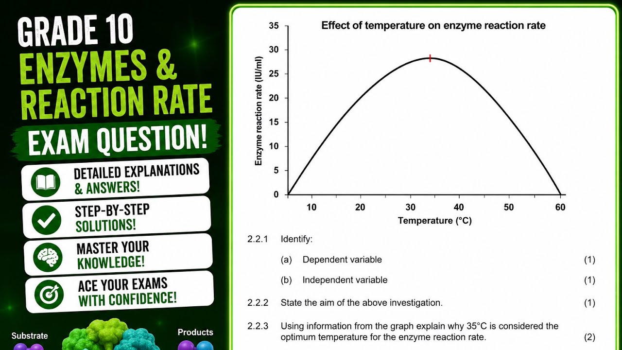Grade 10 Enzymes EXAM QUESTION Answered | Life Science | Organic Compounds| Proteins| Past Exam