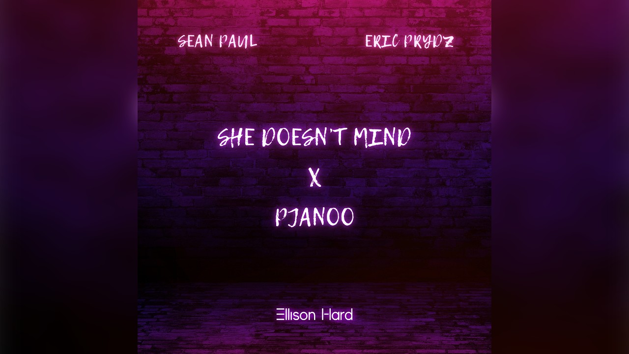 She Doesn't Mind X Pjanoo (Ellison Hard Mashup) - Sean Paul X Eric Prydz