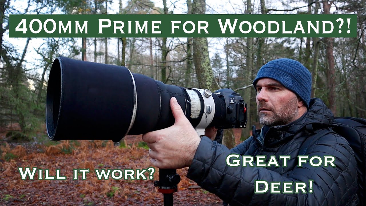 Trying a 400mm Prime Lens for Woodland Photography.
