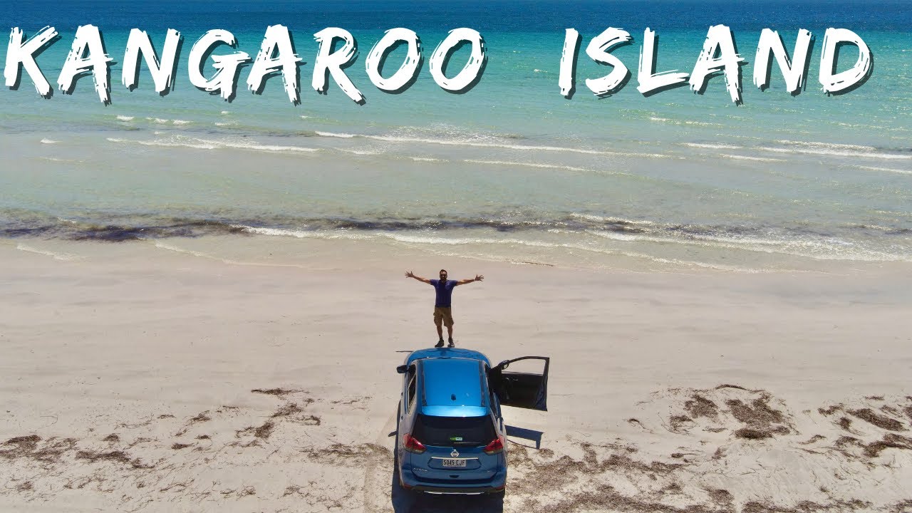 Остров Кенгуру за 2 дня? Отправляйтесь сюда!