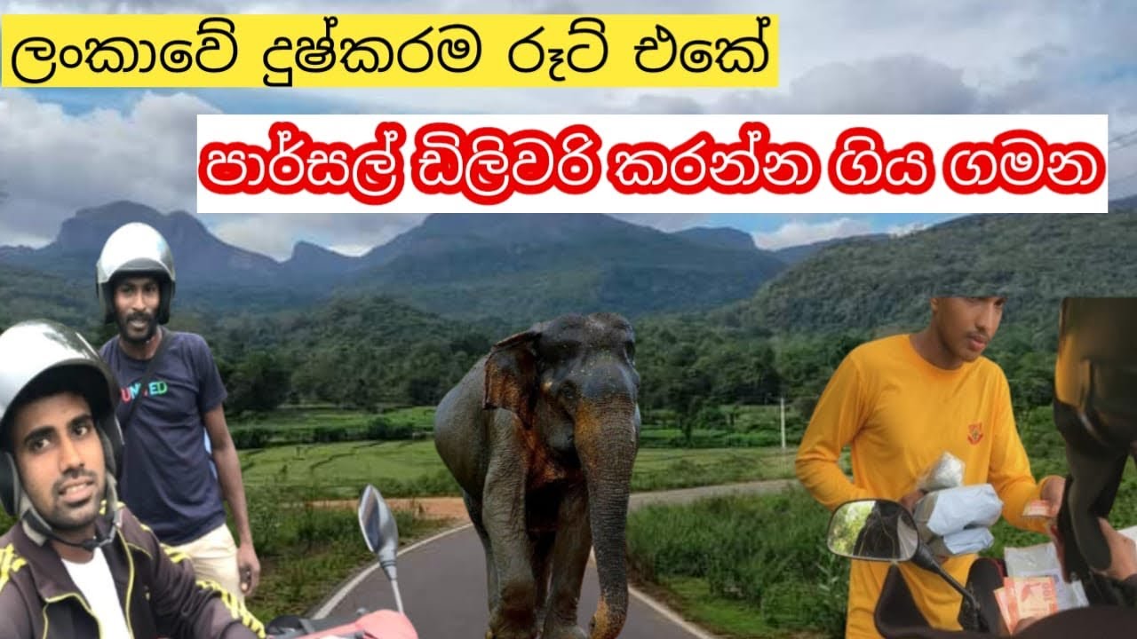 ලංකාවේ අමාරුම රූට් එකේ පාර්සල් ඩිලිවරි කරන්න ගියා 😬