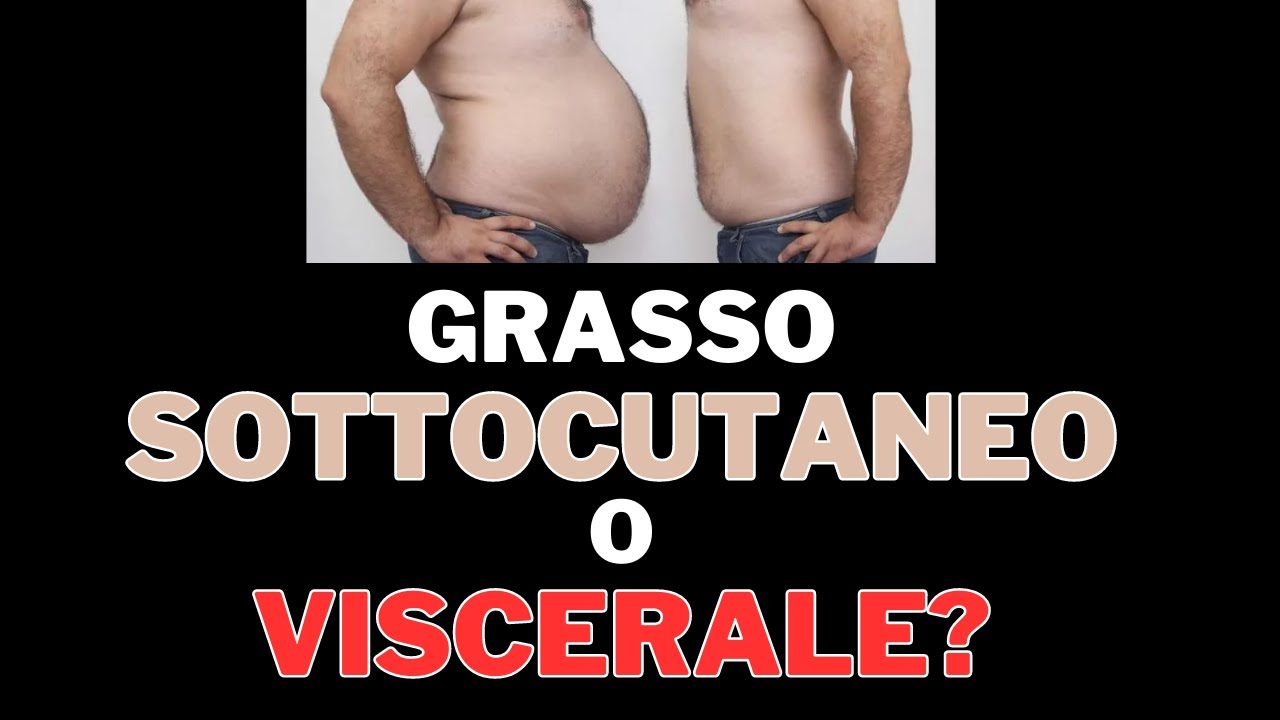 Grasso sottocutaneo e viscerale, ecco perch&egrave; hai la pancia!