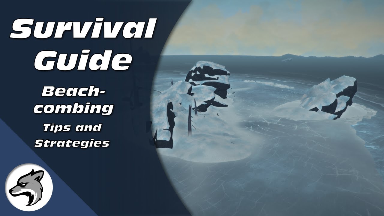Definitive Beachcombing Guide | How To Survive The Long Dark
