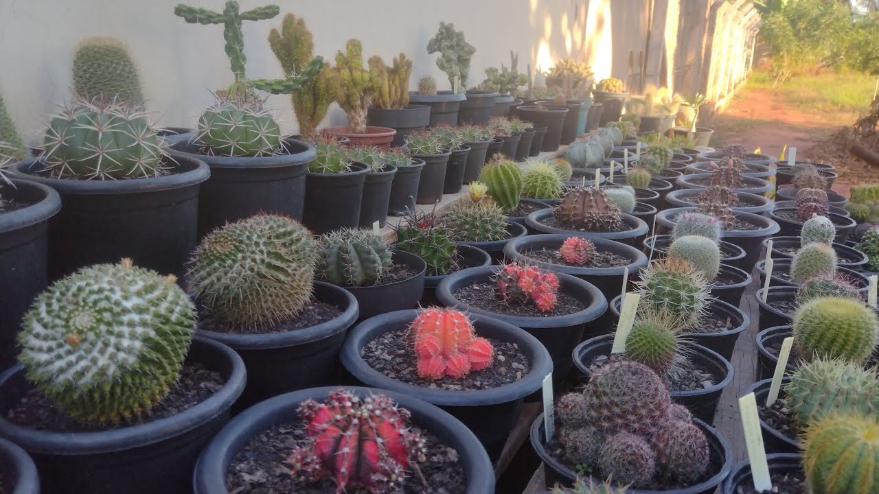 Mudei minha bancada de lugar. 😍💚