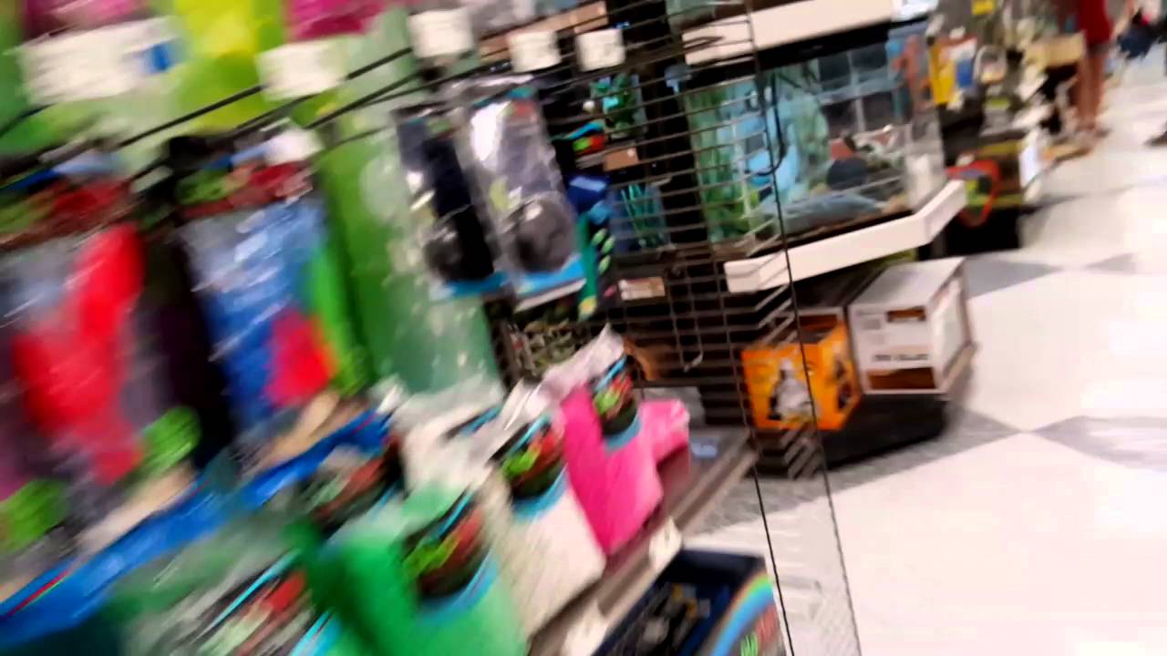 Petco vlog