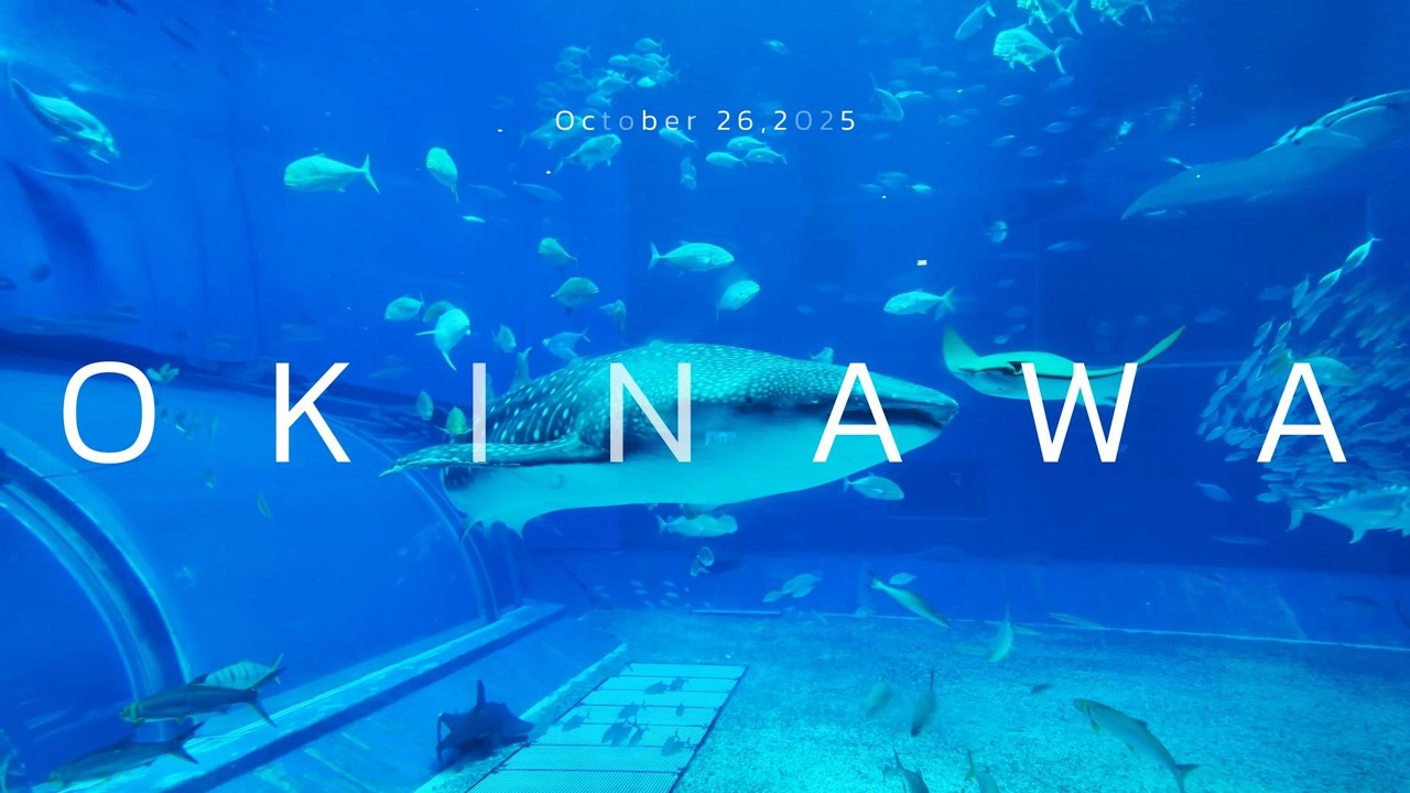 [VLOG]24 오키나와 2일차ㅣ오키나와 가족여행 l 3박4일 자유여행ㅣ츄라우미ㅣ추라우미ㅣChuraumi Acuarium l AEONMALLㅣ이온몰ㅣ플리퍼ㅣFlipper