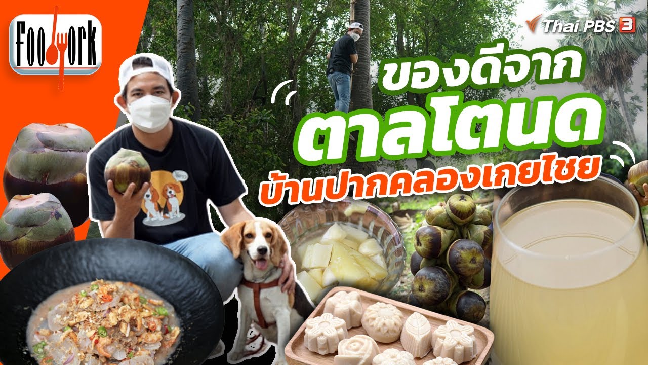ตะลุยชิมของดีจากตาลโตนด บ้านปากคลองเกยไชย : Foodwork [CC]