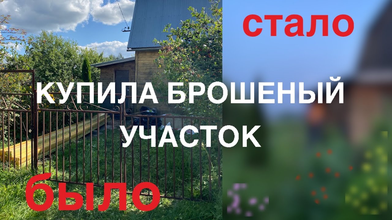 КУПИЛА ЗАБРОШЕНУЮ ДАЧУ И ВОТ ЧТО ИЗ ЭТОГО ВЫШЛО